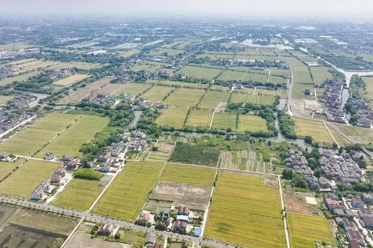 陈浩在南浔区调研：以舍我其谁的气概再创南浔新辉煌