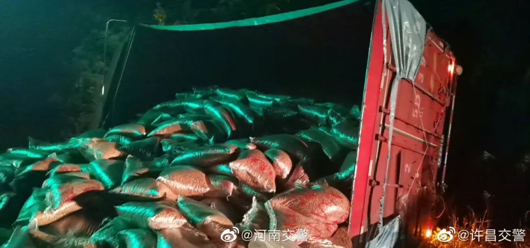 五大曝光丨高速公路分心驾驶导致货车侧翻