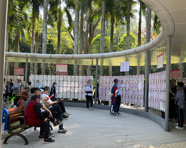 听说，深圳这地方在给单身男女发对象……