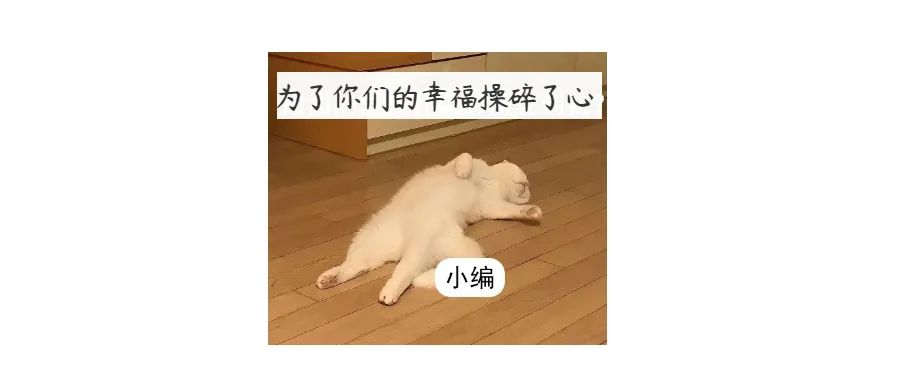 听说，深圳这地方在给单身男女发对象……