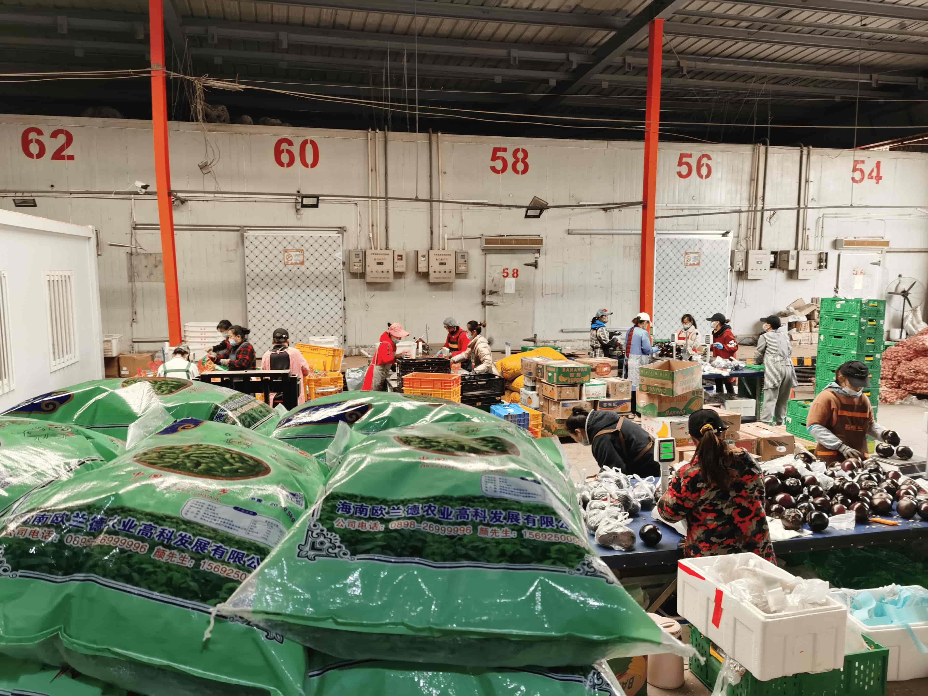 岳各庄批发市场临时休市新发地蔬菜上市量连续两天超2万吨