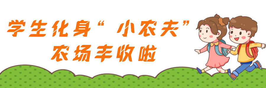 种菜、煮饭、做木工……这些学校的劳动课，你pick哪一个？