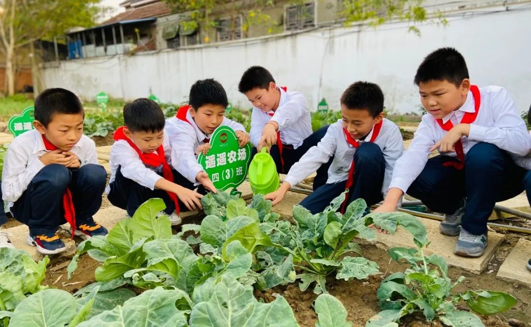 种菜、煮饭、做木工……这些学校的劳动课，你pick哪一个？