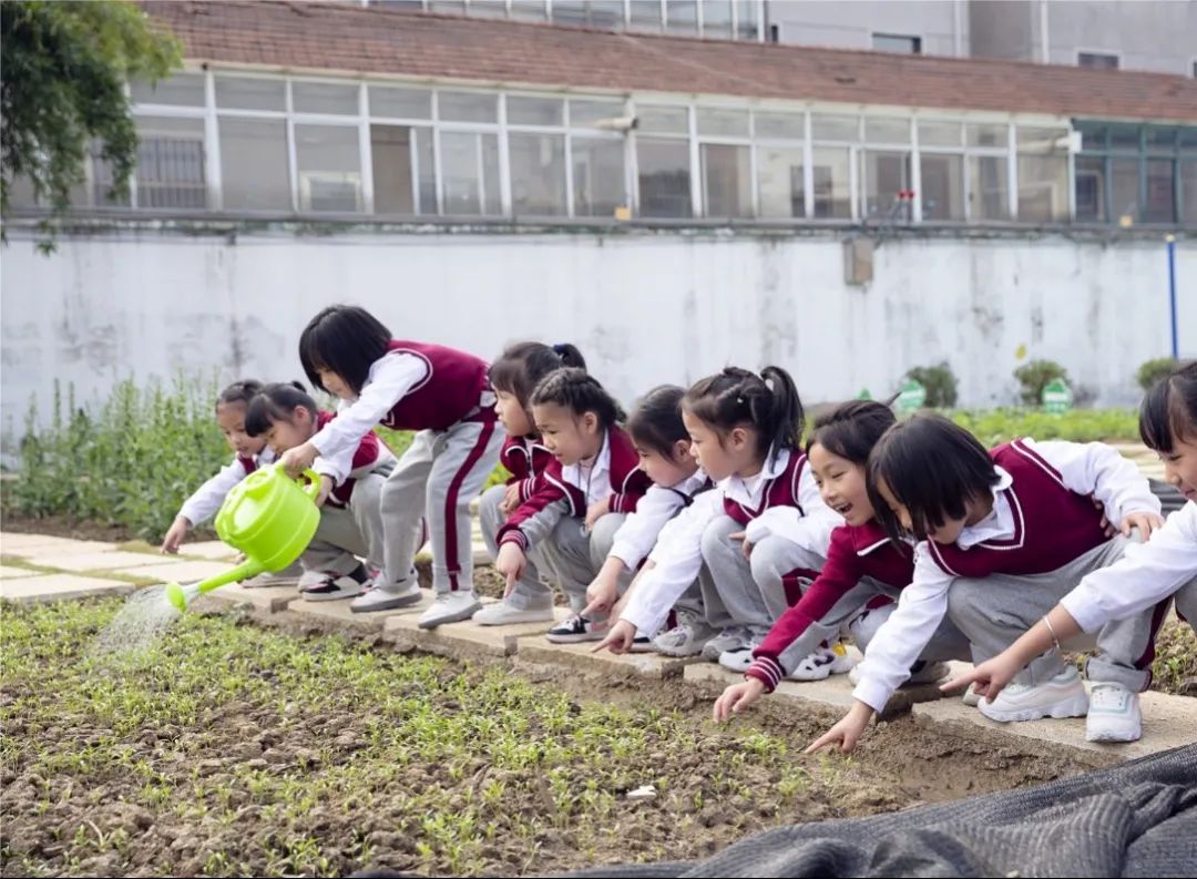 种菜、煮饭、做木工……这些学校的劳动课，你pick哪一个？