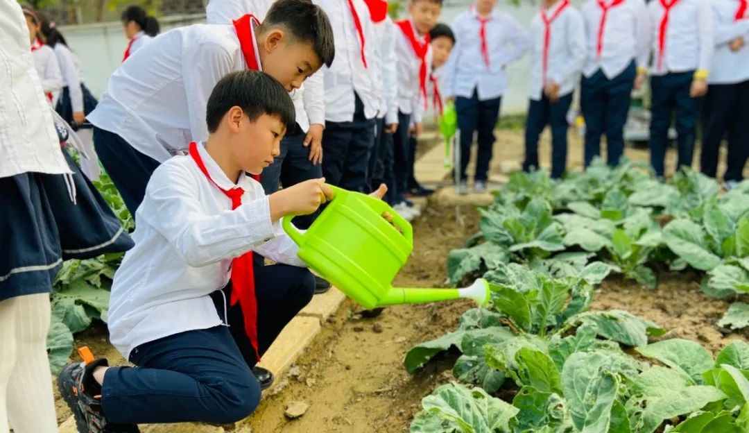 种菜、煮饭、做木工……这些学校的劳动课，你pick哪一个？