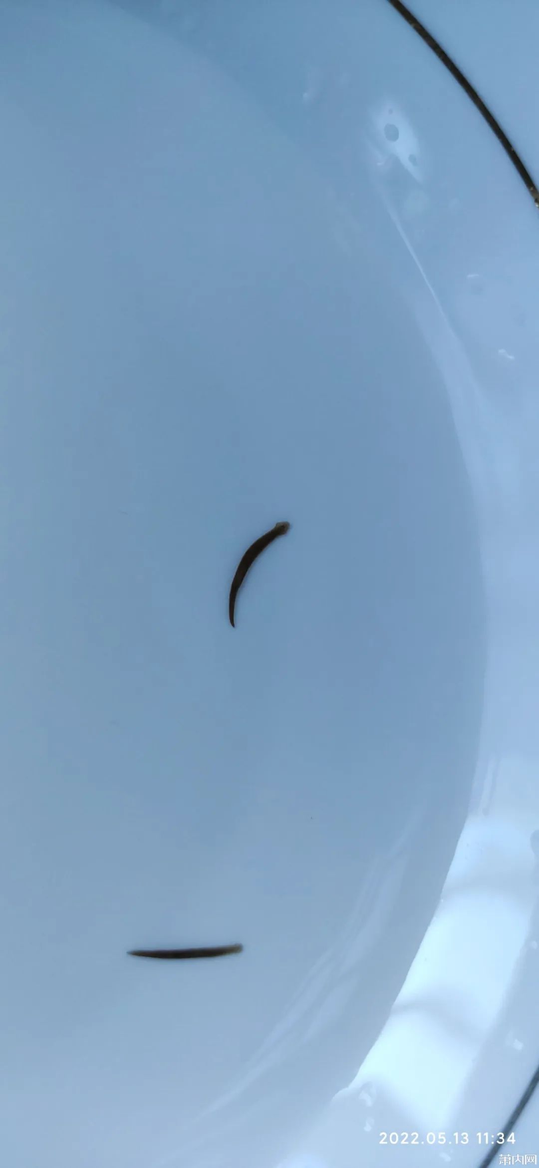 萧山超火的山泉水，网友接回来吓一跳！幸亏多看了一眼