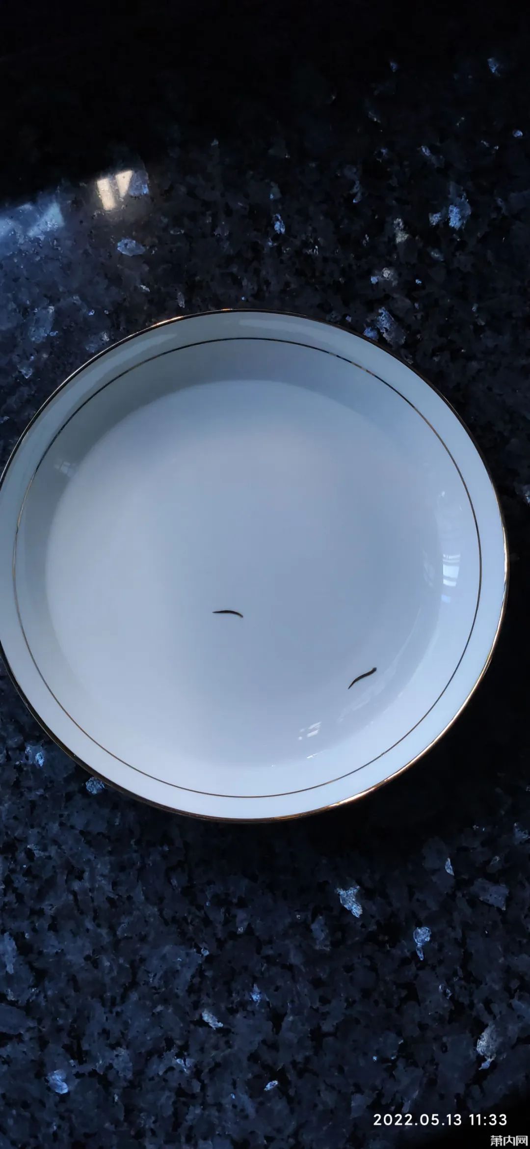 萧山超火的山泉水，网友接回来吓一跳！幸亏多看了一眼