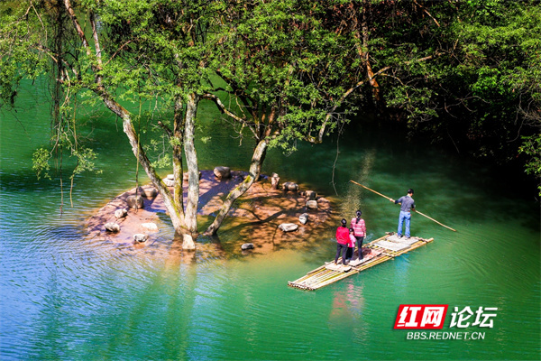 炎陵有处山水大观园，不出省也能领略“九寨沟”