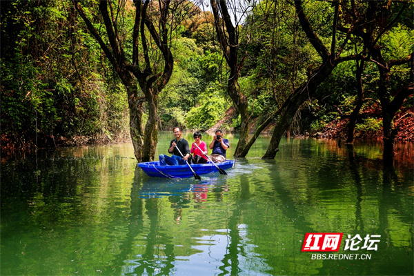 炎陵有处山水大观园，不出省也能领略“九寨沟”