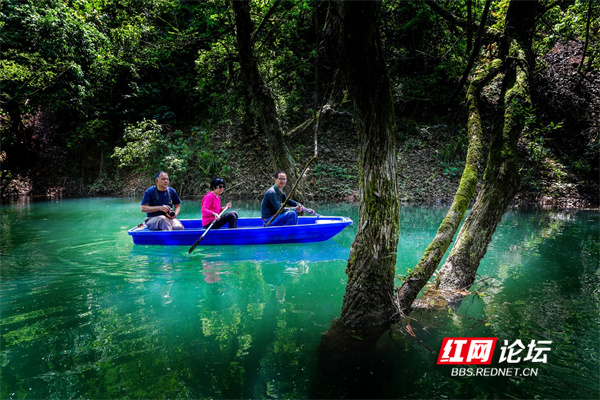 炎陵有处山水大观园，不出省也能领略“九寨沟”