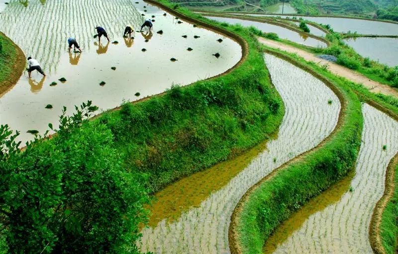 中国旅游日约“惠”婺源，一大波免票、特惠福利来袭！