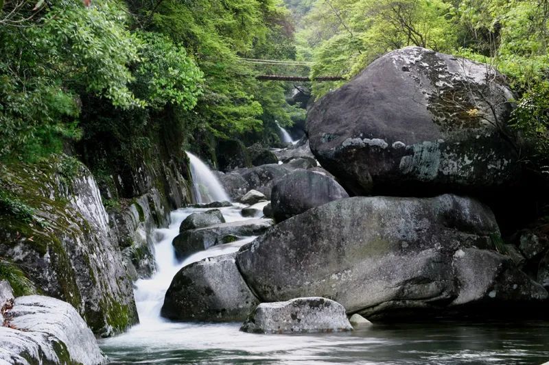 中国旅游日约“惠”婺源，一大波免票、特惠福利来袭！