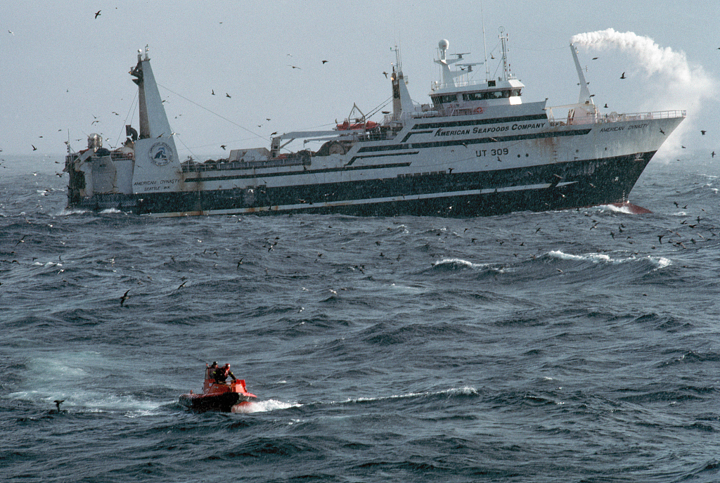 我读｜《浮动的海岸》：冰雪之域的悲戚挽歌
