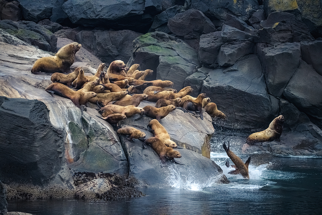 我读｜《浮动的海岸》：冰雪之域的悲戚挽歌