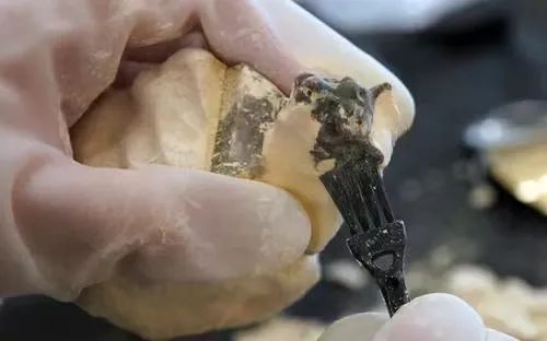 从《国家宝藏》到“考古盲盒”，文博跨界后为啥频频形成网络“顶流”？