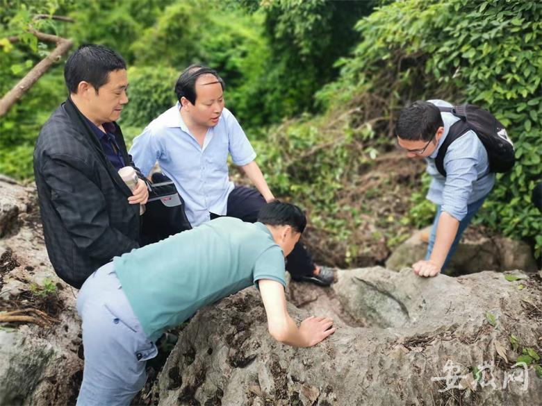 安徽齐山风景区现神秘“大脚印”，地质学专家揭秘