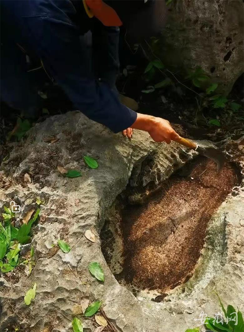 池州齐山景区内现神秘“大脚印”当地地质学专家现场“揭秘”