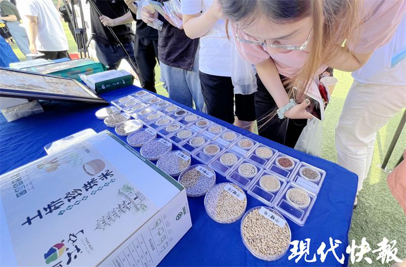 你見過能拉絲的酸奶嗎？南農(nóng)的“科普大餐”如約而至