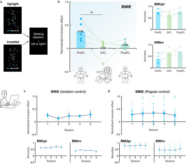 心理所等揭示重力环境塑造人类生物运动知觉