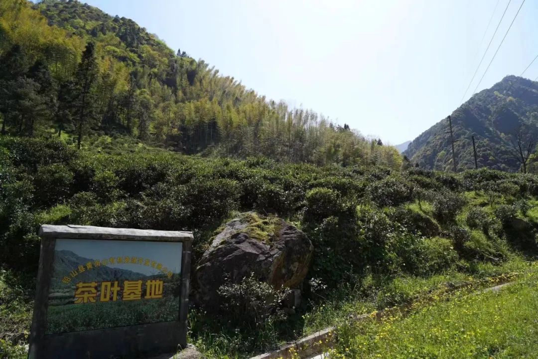 江西武夷山属于哪个市，江西武夷山旅游景点简介