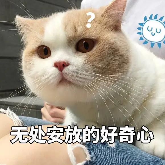 失联的19个小时里，她究竟经历了什么？