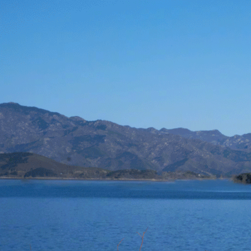 看吧，富贵脸和珍珠耳环才是天生一对