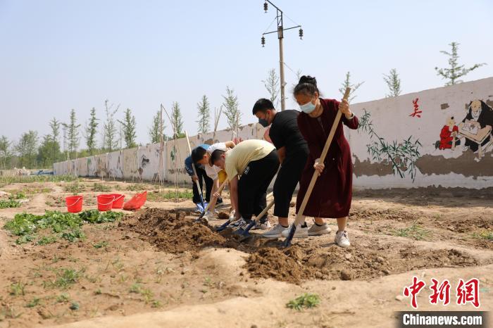 衡水市利民路小学:校园里面开菜园(图4)