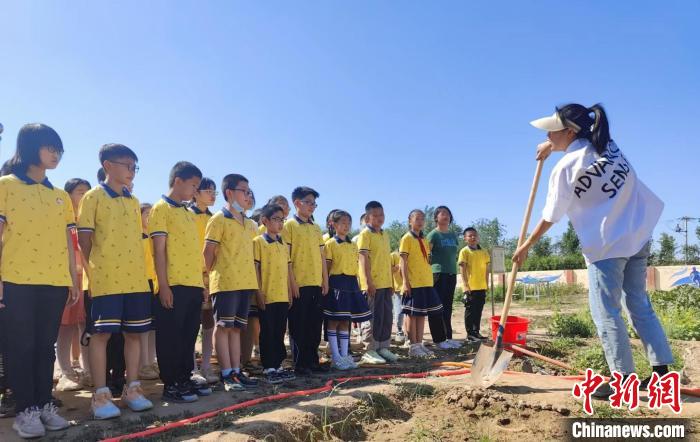 衡水市利民路小学:校园里面开菜园(图6)