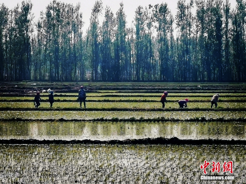 （中国这十年·见微）荒地不荒满粮仓