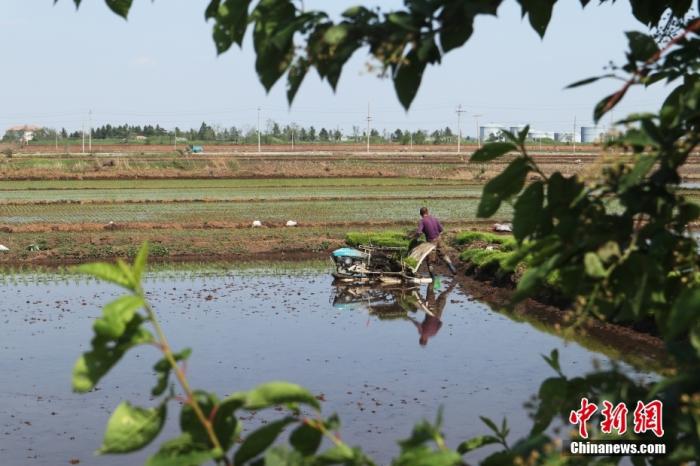 （中国这十年·见微）荒地不荒满粮仓