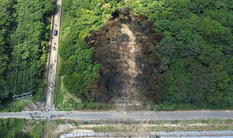 台媒曝光教练机失事现场画面：树干被削断，树林周边焦黑一片