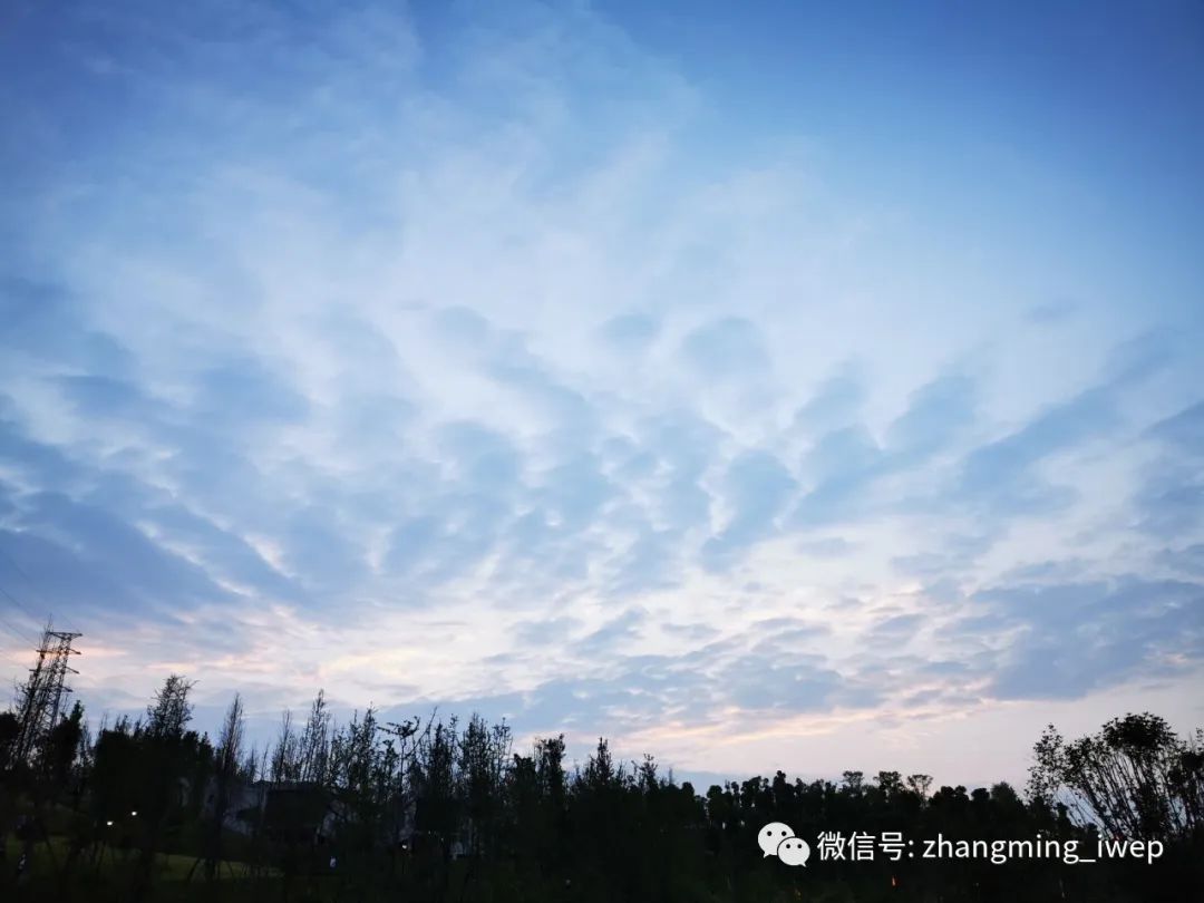 张明、王喆 | 数字人民币的发展空间有多大？
