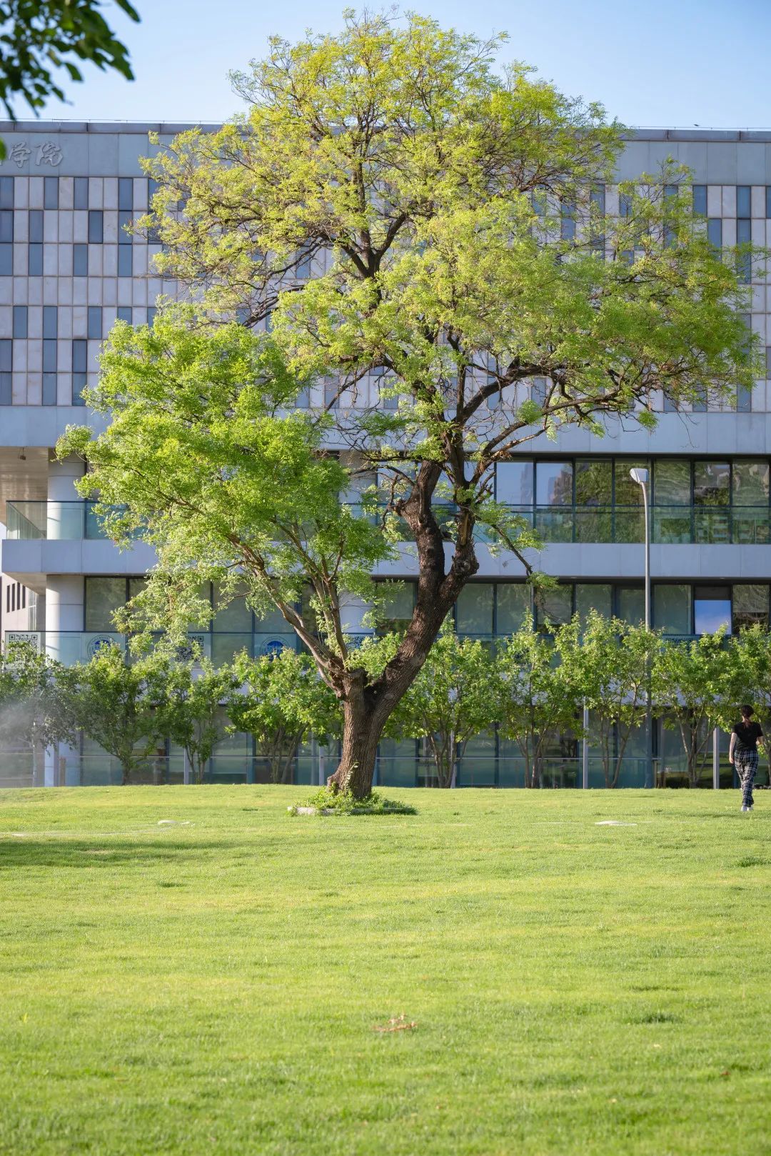 北京大学奥运会项目有哪些(10余个学科、上百门课程，北大在行动！)