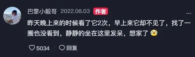 一块“中国地砖”成巴黎网红！然而最近，它不见了…