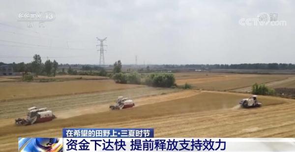 在希望的田野上·三夏時節(jié)｜財政支農(nóng)政策保障夏糧豐產(chǎn)豐收