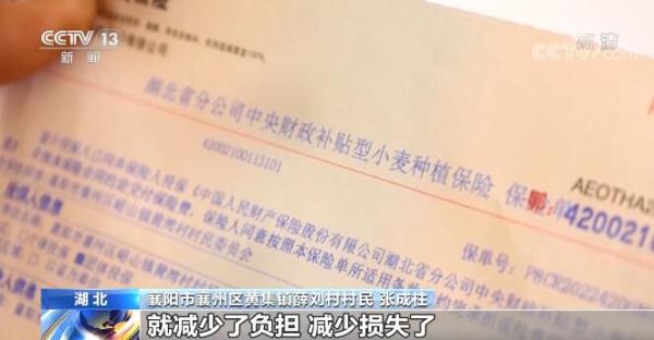 在希望的田野上·三夏時節(jié)｜財政支農(nóng)政策保障夏糧豐產(chǎn)豐收