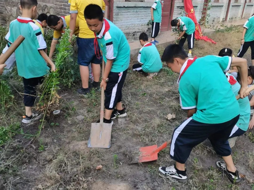 潼关县太要镇中心小学劳动教育实践基地挂牌(图4)