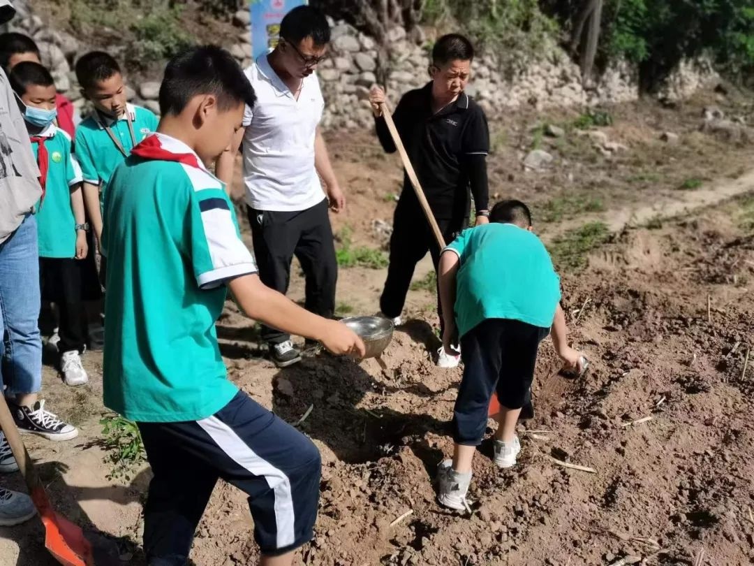 潼关县太要镇中心小学劳动教育实践基地挂牌(图6)