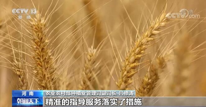 加大農(nóng)機(jī)購置補(bǔ)貼投入 科技助力夏收提質(zhì)增效