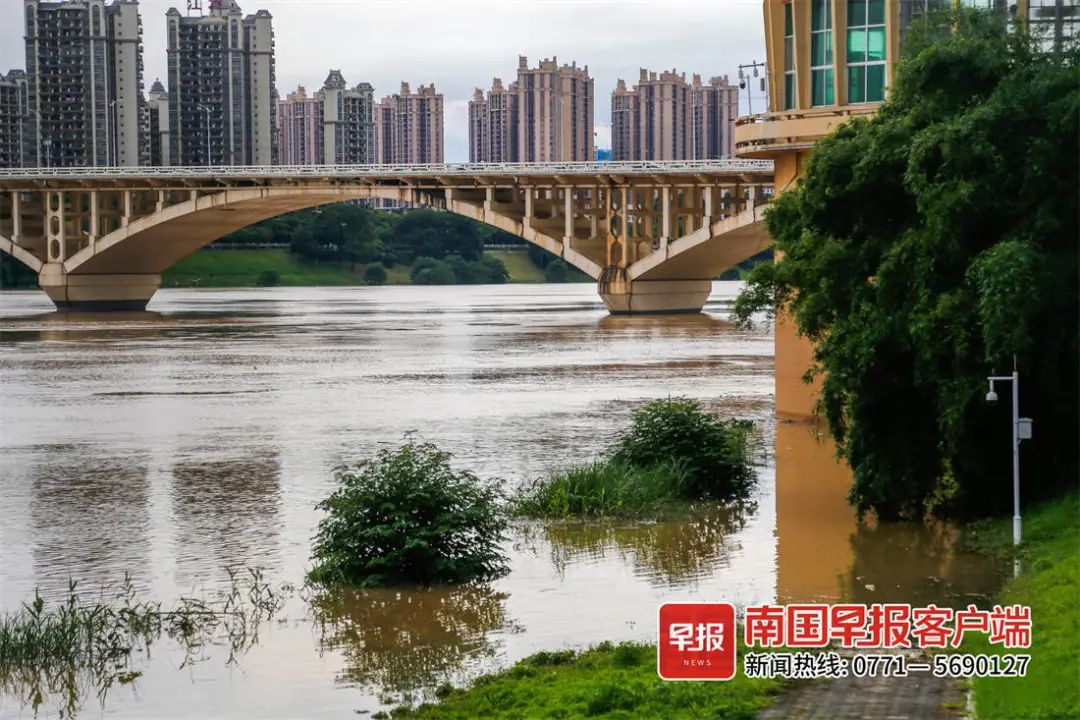 早新闻丨@广西人，6月30日前别忘缴这项费！过期多交610元