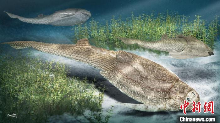 鱼类鳞片鳞列如何演化而来？4.1亿年前化石最新研究揭秘