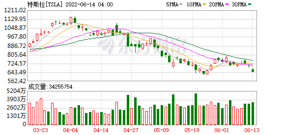 美股大型科技股普涨 特斯拉涨超5%