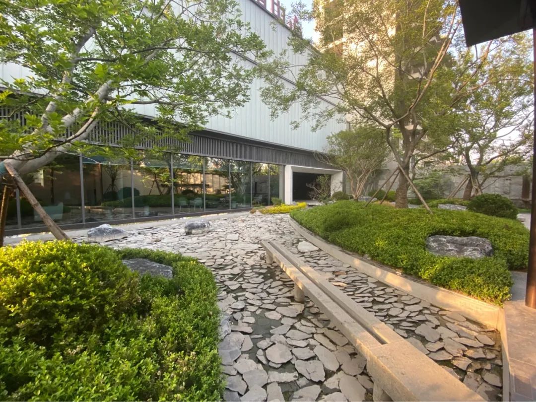 11亿拿到“地王”，3栋楼没建好资金链就断？济南阳光城檀悦被质疑烂尾