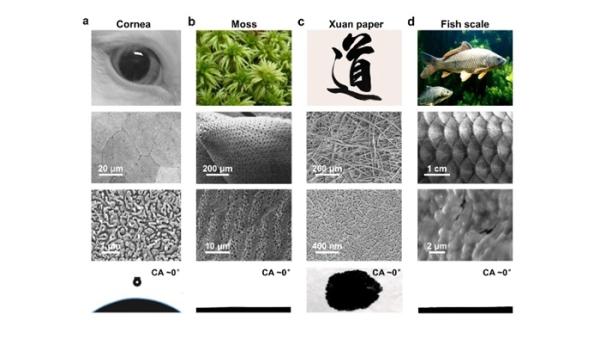 理化所提出“超铺展”概念