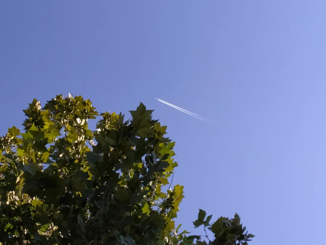 「一周连连看」飞象星球入局教育数字化市场；家庭教育指导师、研学旅行指导师等18个新职业出炉