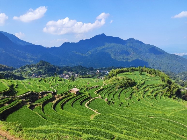 千年孢粉透露：秦汉已现我国东部土地利用格局雏形