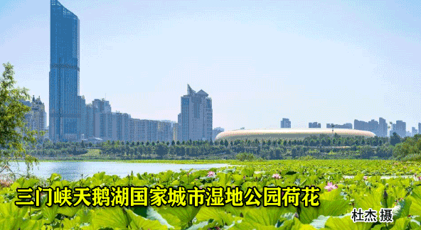 三门峡：这项津贴调整了