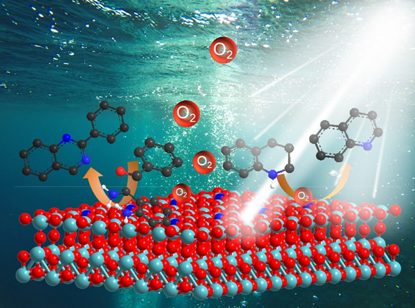 科学家发展出光催化饱和氮杂环氧化脱氢新策略