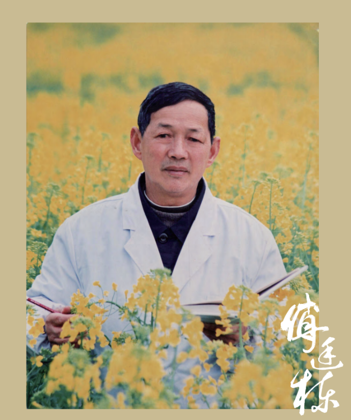 这位84岁的“背包院士”，让盐碱地开出油菜花！