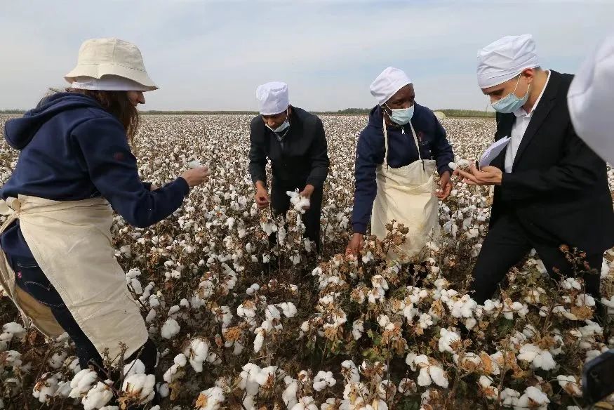 总书记回信一周年！在北大读懂中国！
